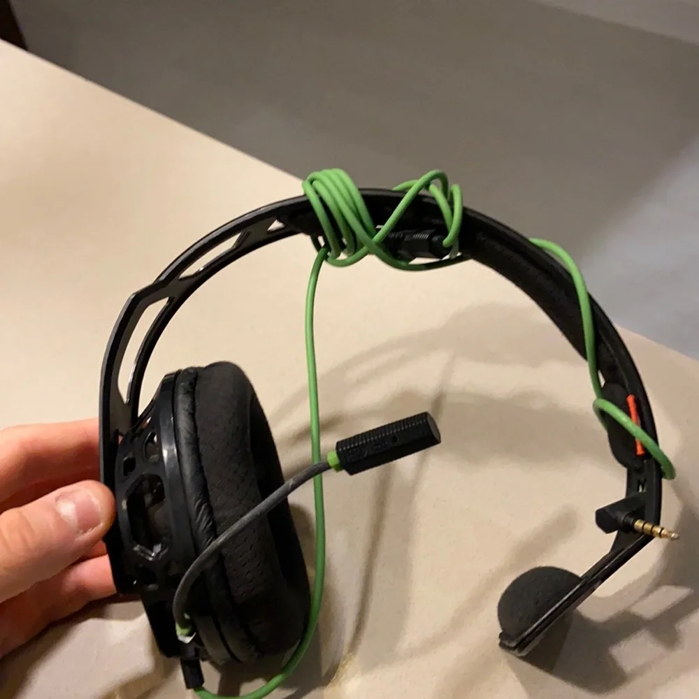 RIG 100 mic