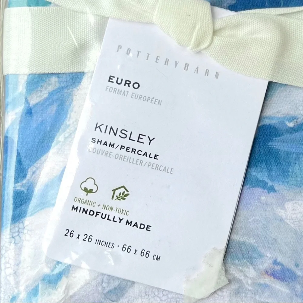 Pottery Barn Kinsley Euro King Shams (Set of 2)
