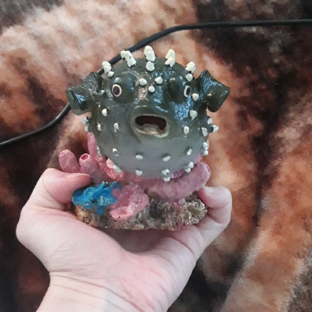 Aquarium ornament
