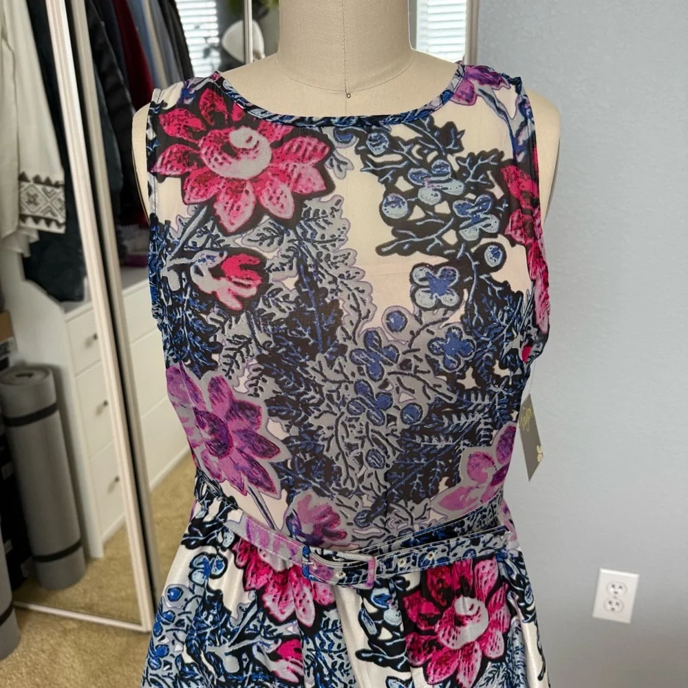 Taylor nwt elegant