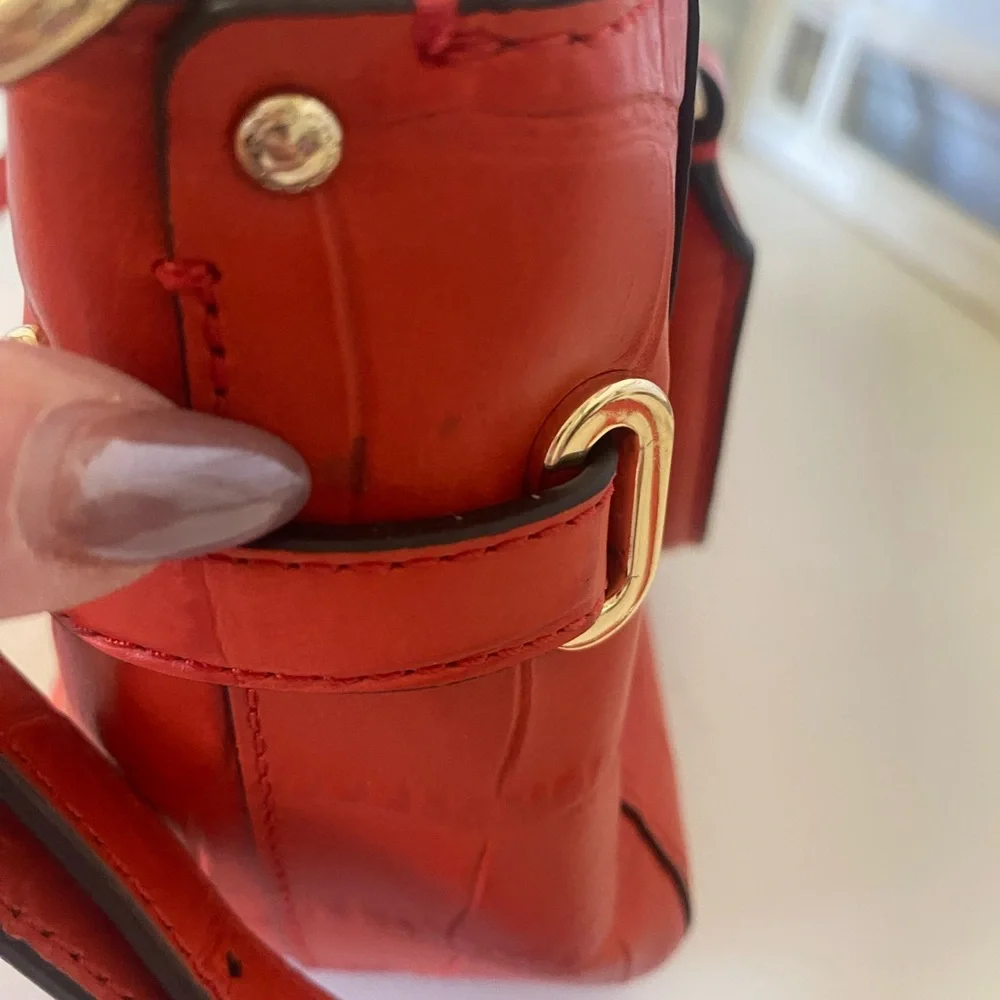 Coach this mini