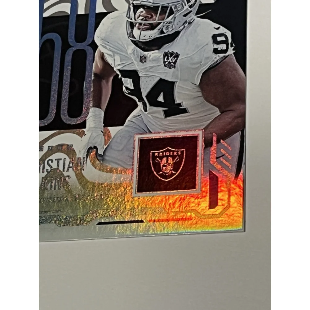Panini this 2025