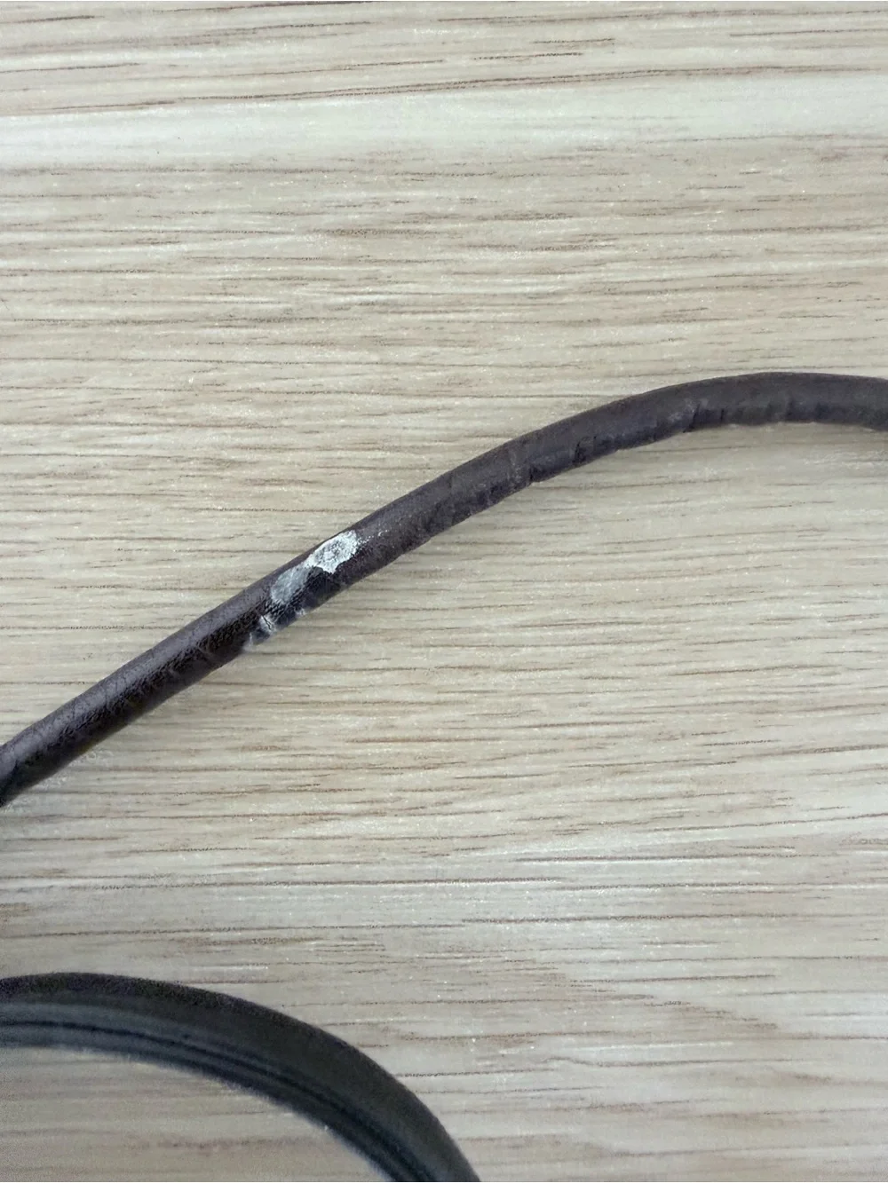 vintage fossil