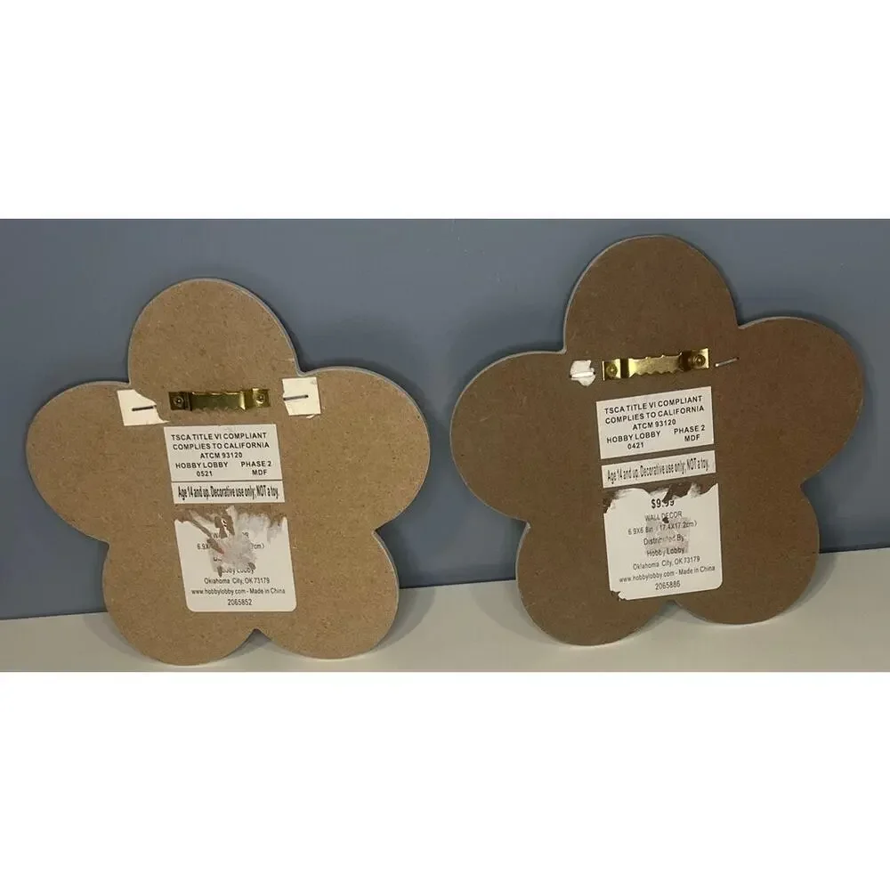 Set of 2 Flower Wall Hooks