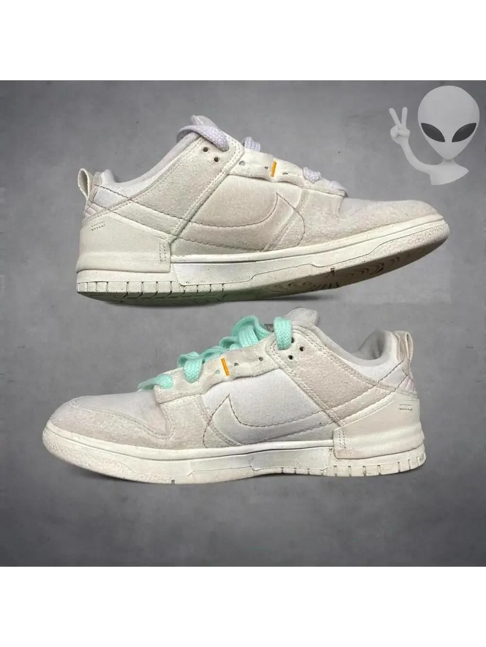 Nike these dunk