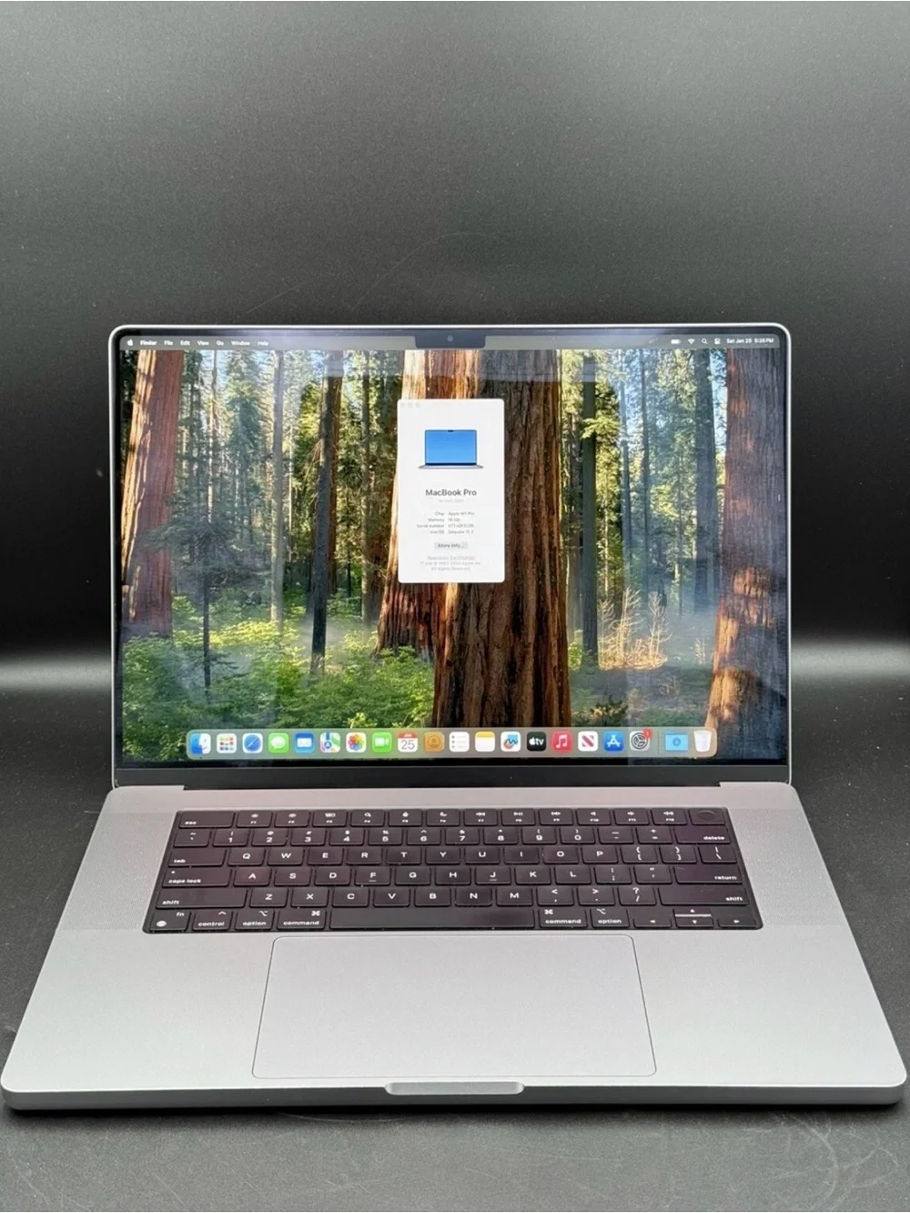 Apple MacBook Pro - Space Gray Aluminum Finish M1 Pro