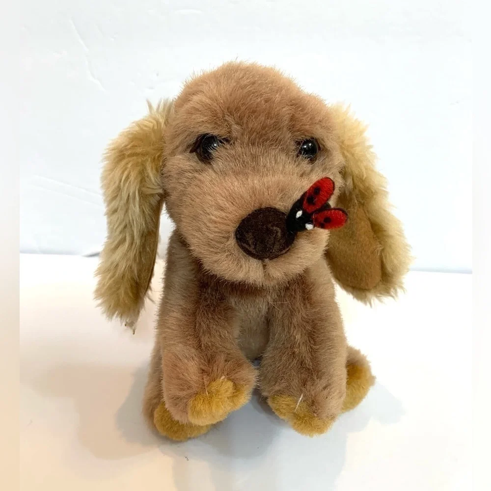 Armbee  Corp cocker spaniel sitting dog with ladybug on nose 8