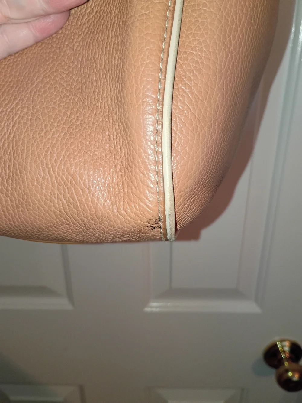 Brahmin Carla Everyday Market Tote Shoulder Bag