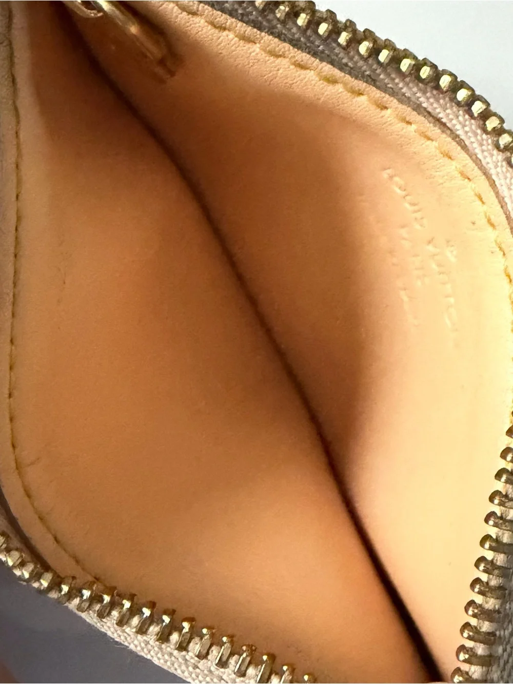 Louis Vuitton authentic louis