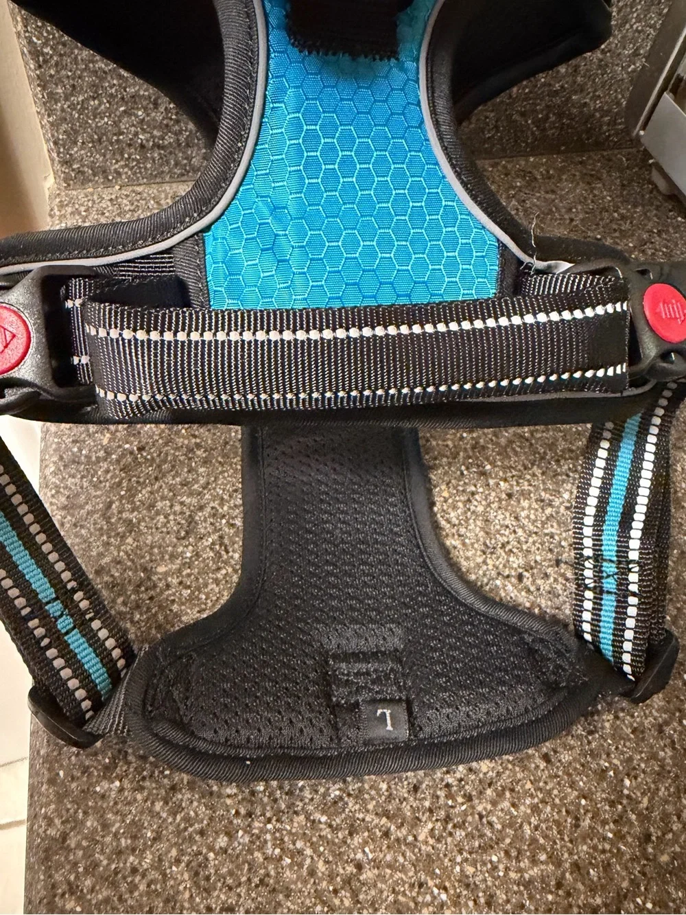 NWT no- pull Dog harness and leash (Large) in blue. Never used. 5 ft. Leash