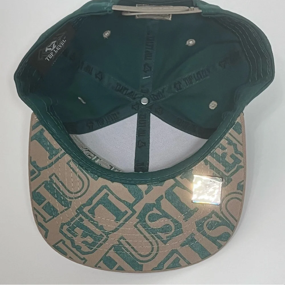 Top Level Hustle Bear SnapBack Cap Hat Embroidered Flat‎ Bill Print New