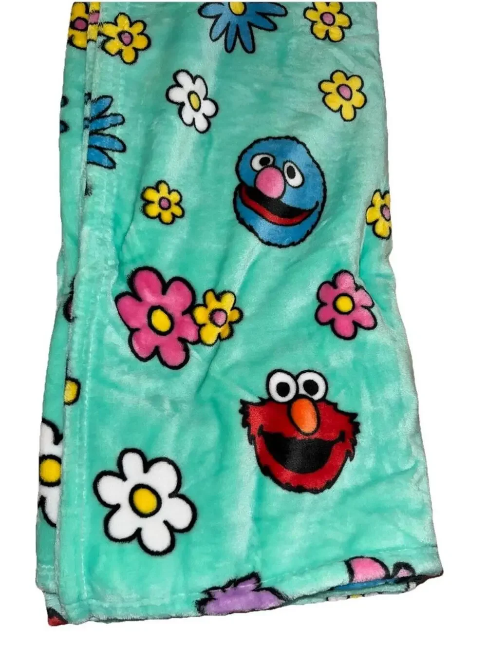 Sesame Street Green Decorative Throw 50