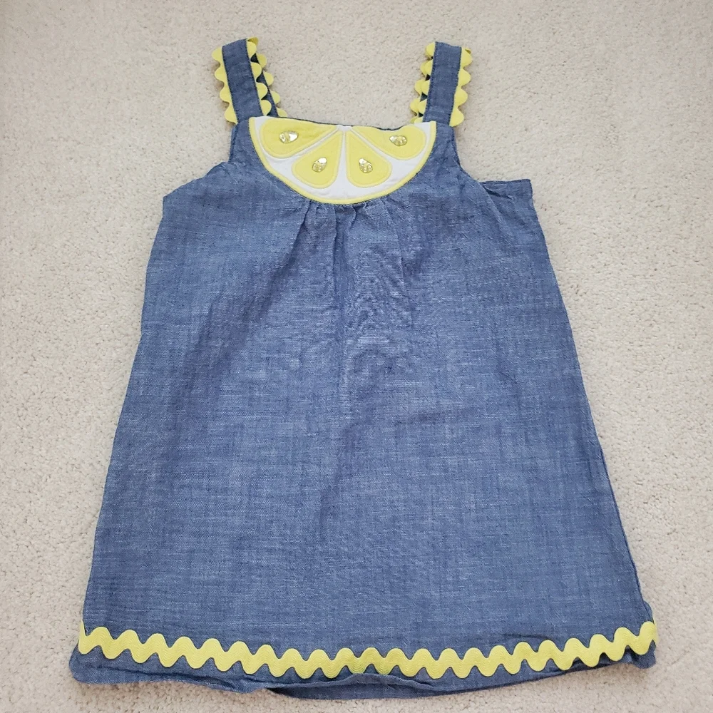 Gymboree Girls Embrodiered Lemon Chambray Dress - Citrus & Sunshine sz18-24m