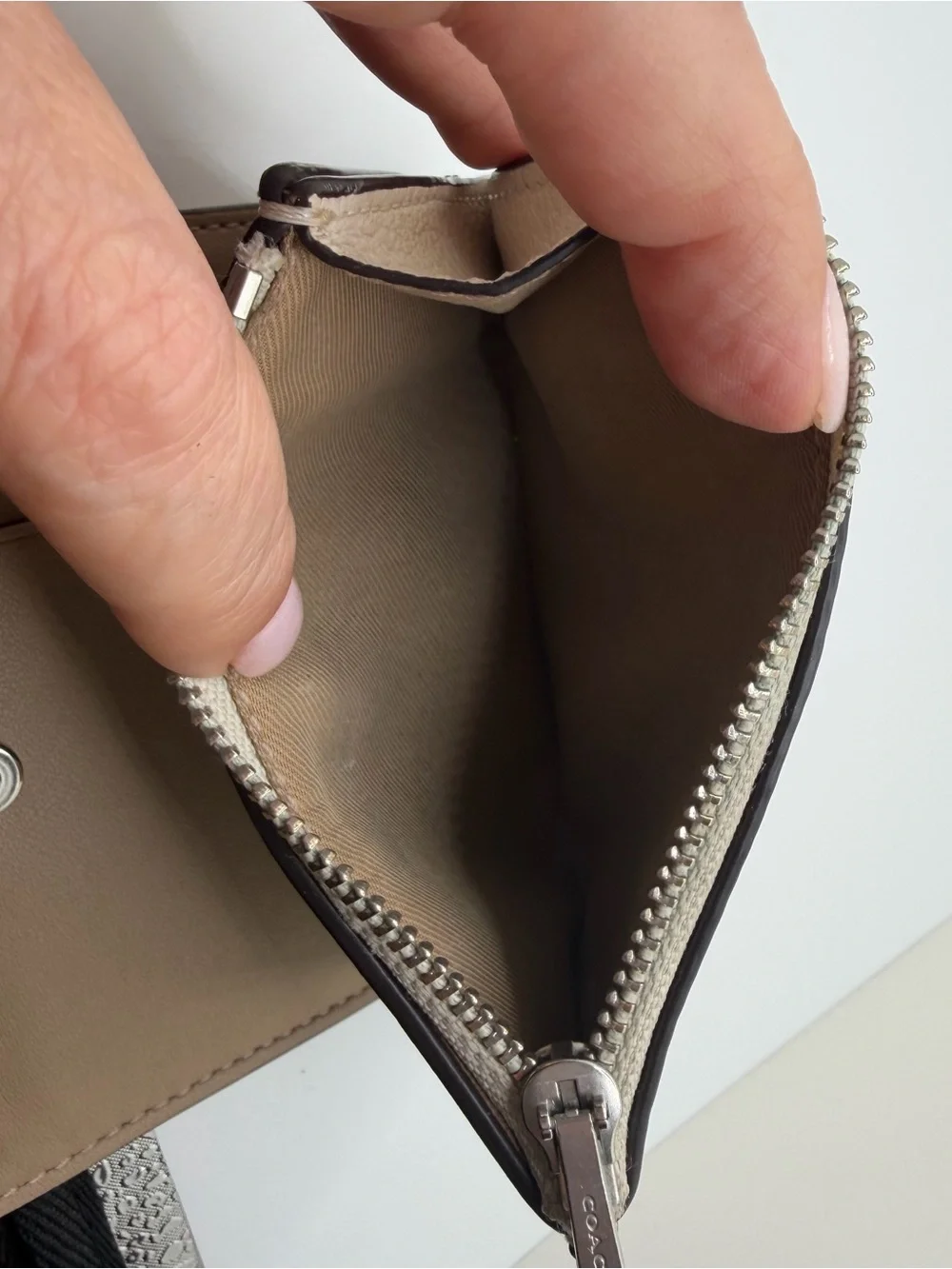 Coach Pebbled Leather Compact Wallet in Chalk Cream