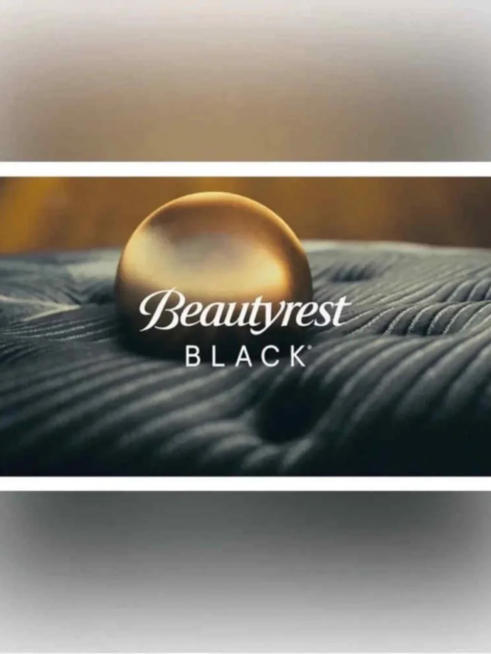 LAST CHANCEBEAUTYREST BLACK Luxurious 20x36 Down And Feather Blend Pillow