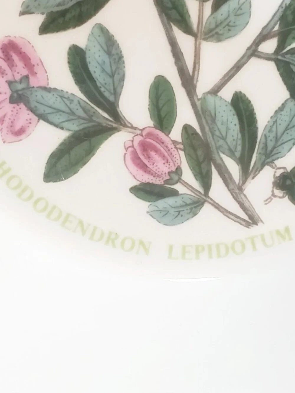 Vintage 1972 Portmeirion Botanic Garden Floral Rhododendron Soup Cereal Bowl