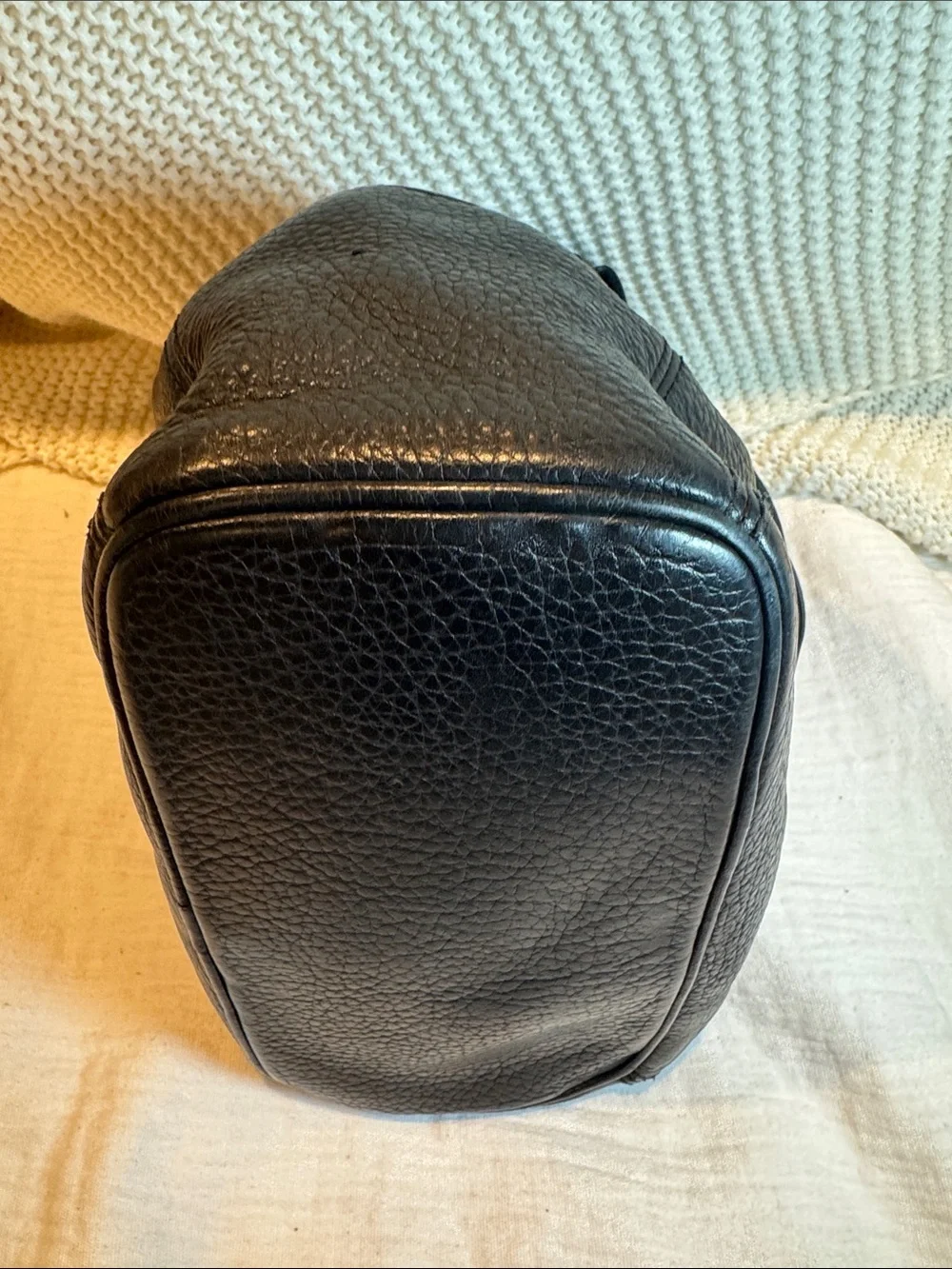 Coach interior leather