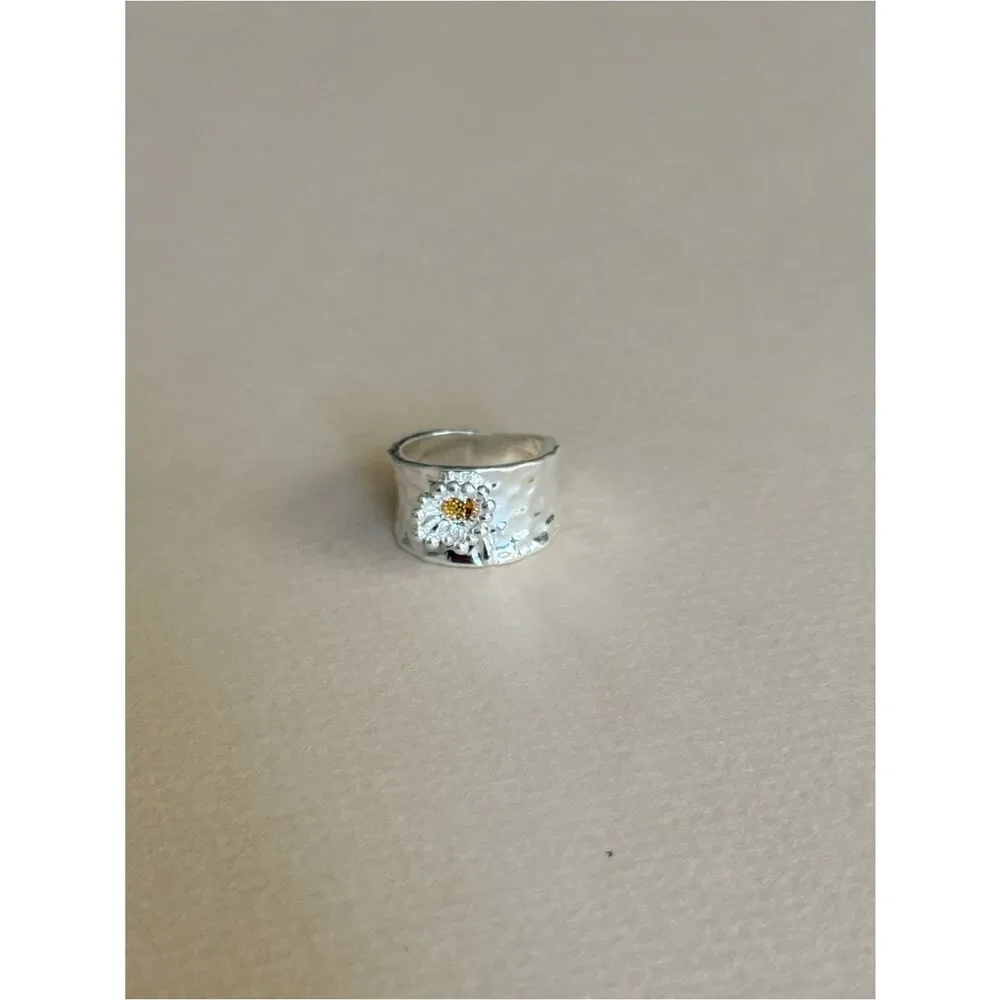 Anthropologie elegant silver