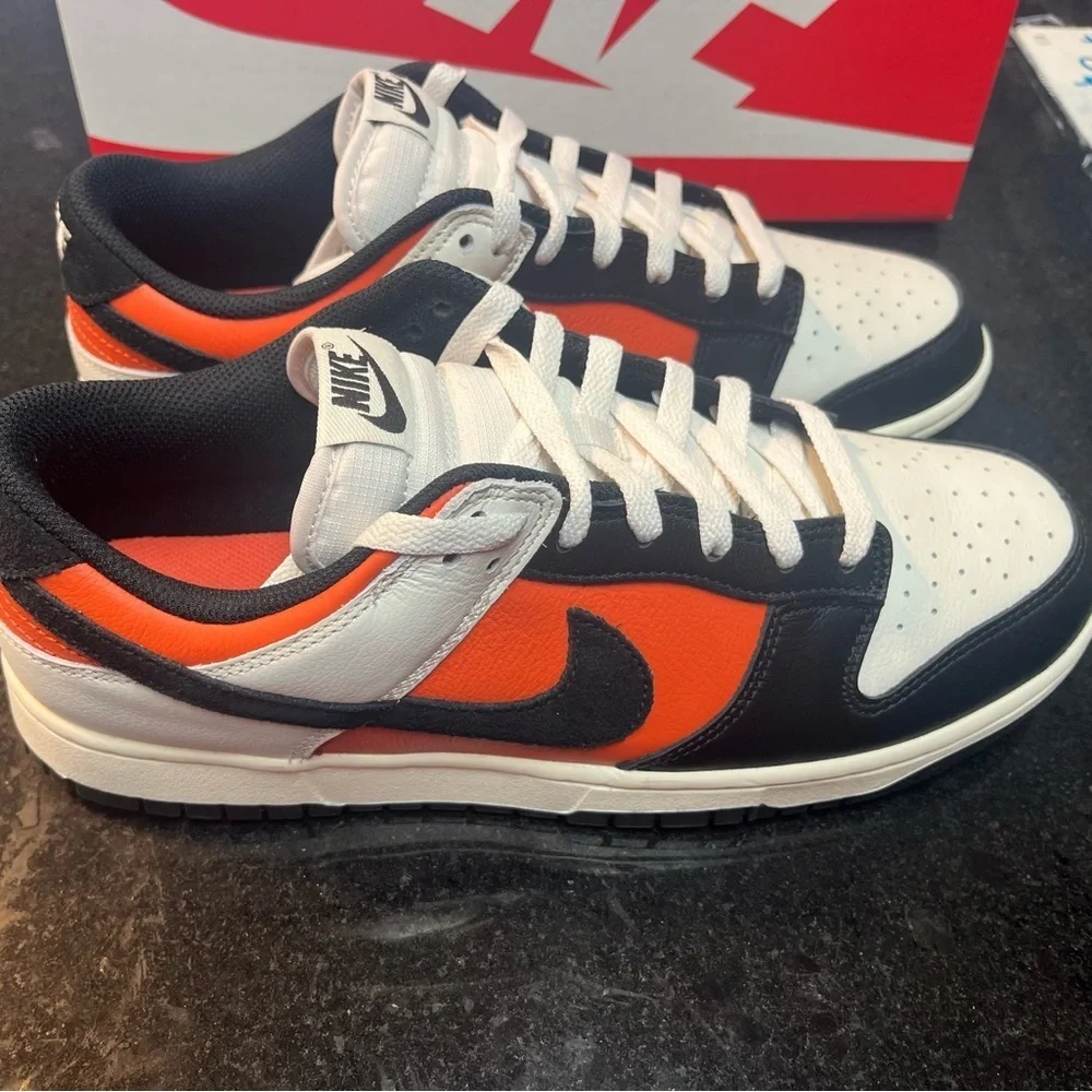Sz 10 Nike Dunk Low 