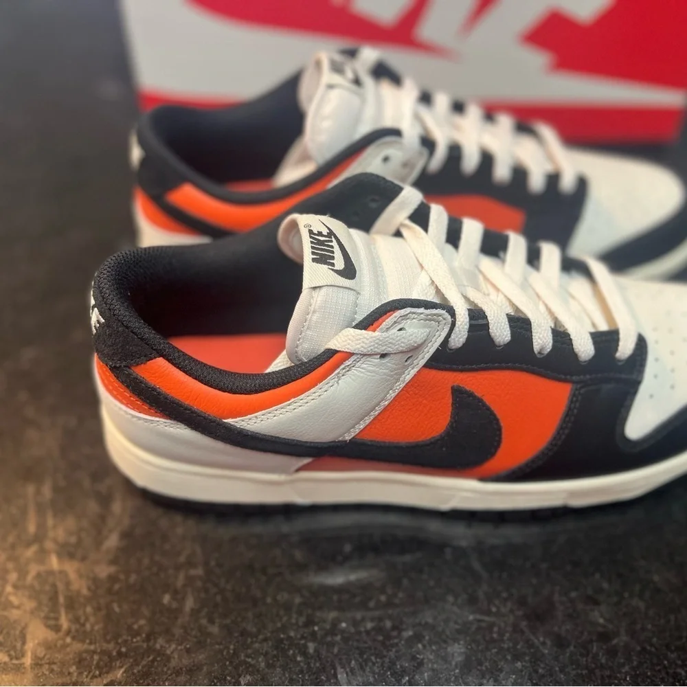 Sz 10 Nike Dunk Low 