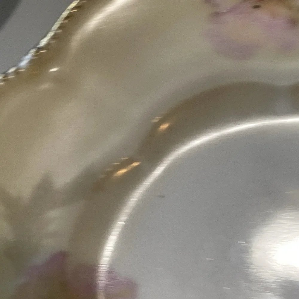 Antique Reinhold Schlegemilch RS Germany Porcelain Dessert Plates Hand Painted