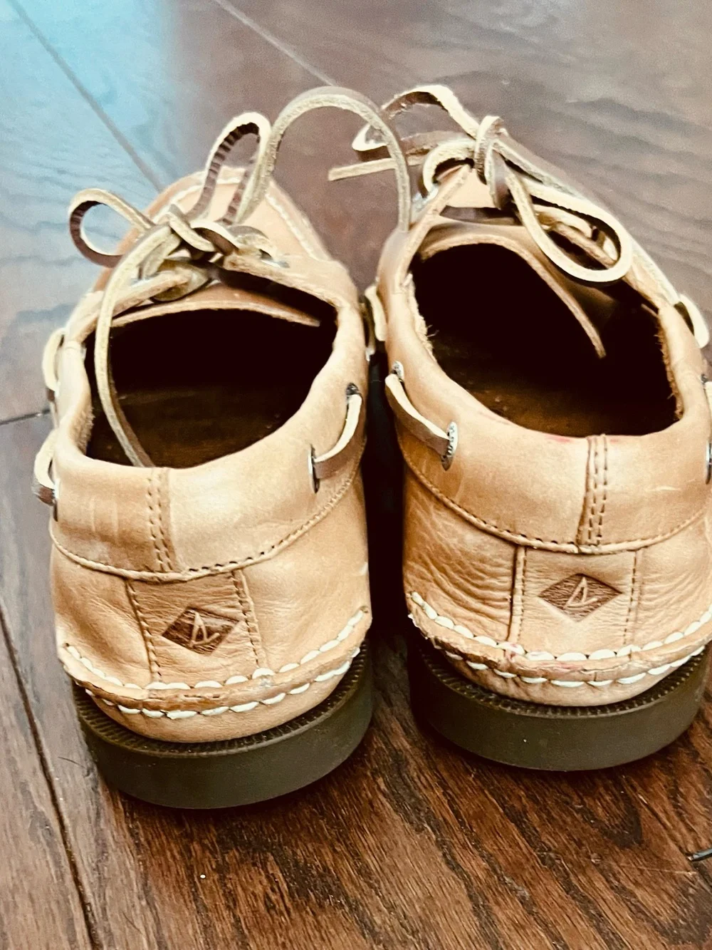Sperry classic two