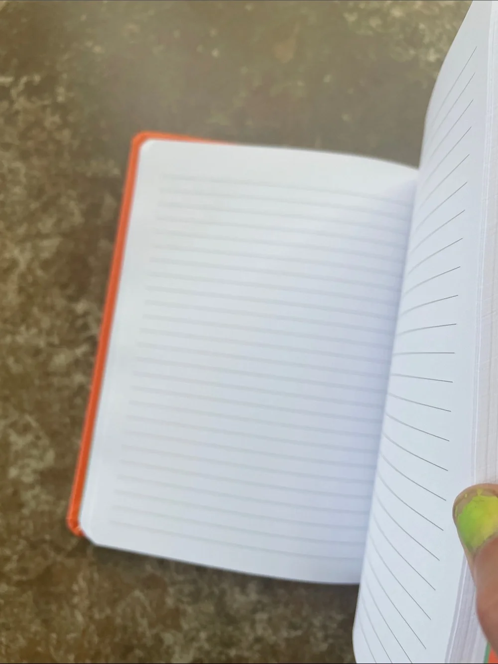 Pen+GEAR Orange Dinosaur Hardcover Journal with Blue Elastic