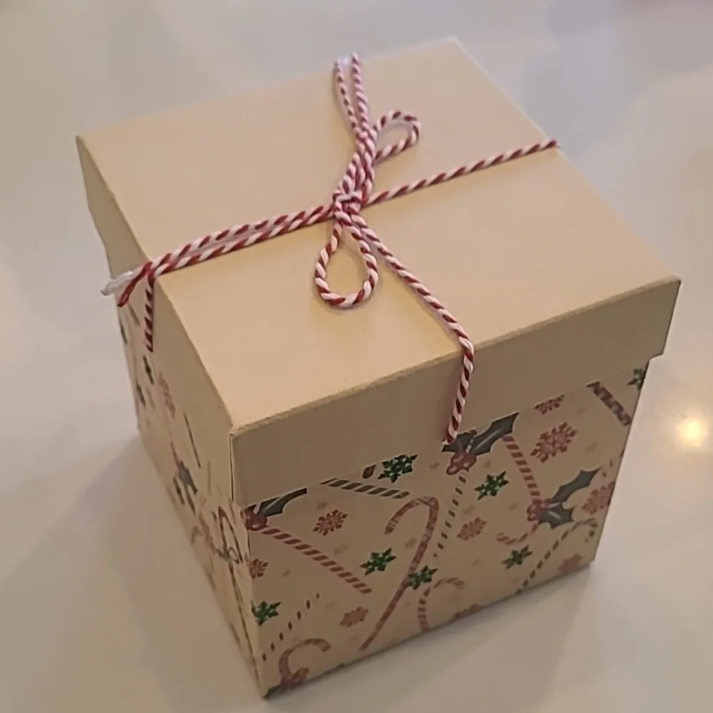 New Christmas Holiday Box