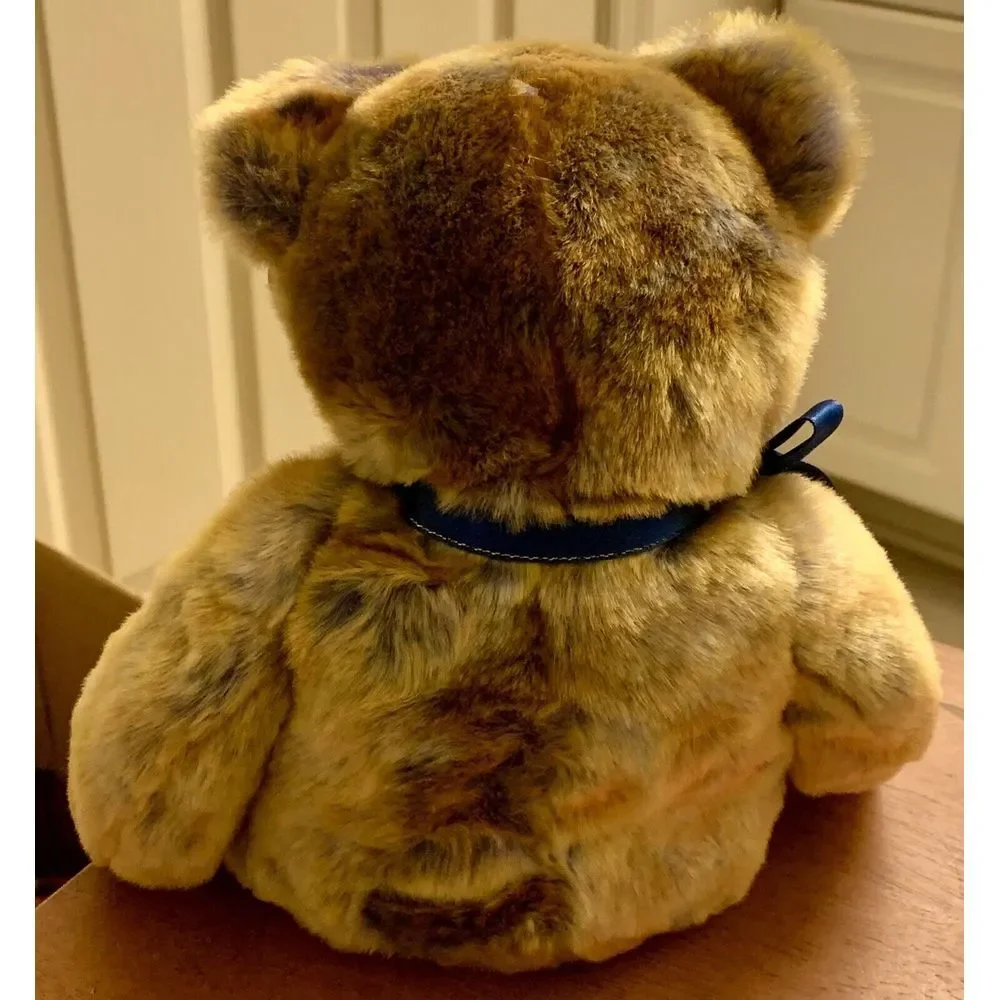 Ty 2000 Classic Beanie‎ Buddy Buddies Clubby III Bear Plush Official Club 12