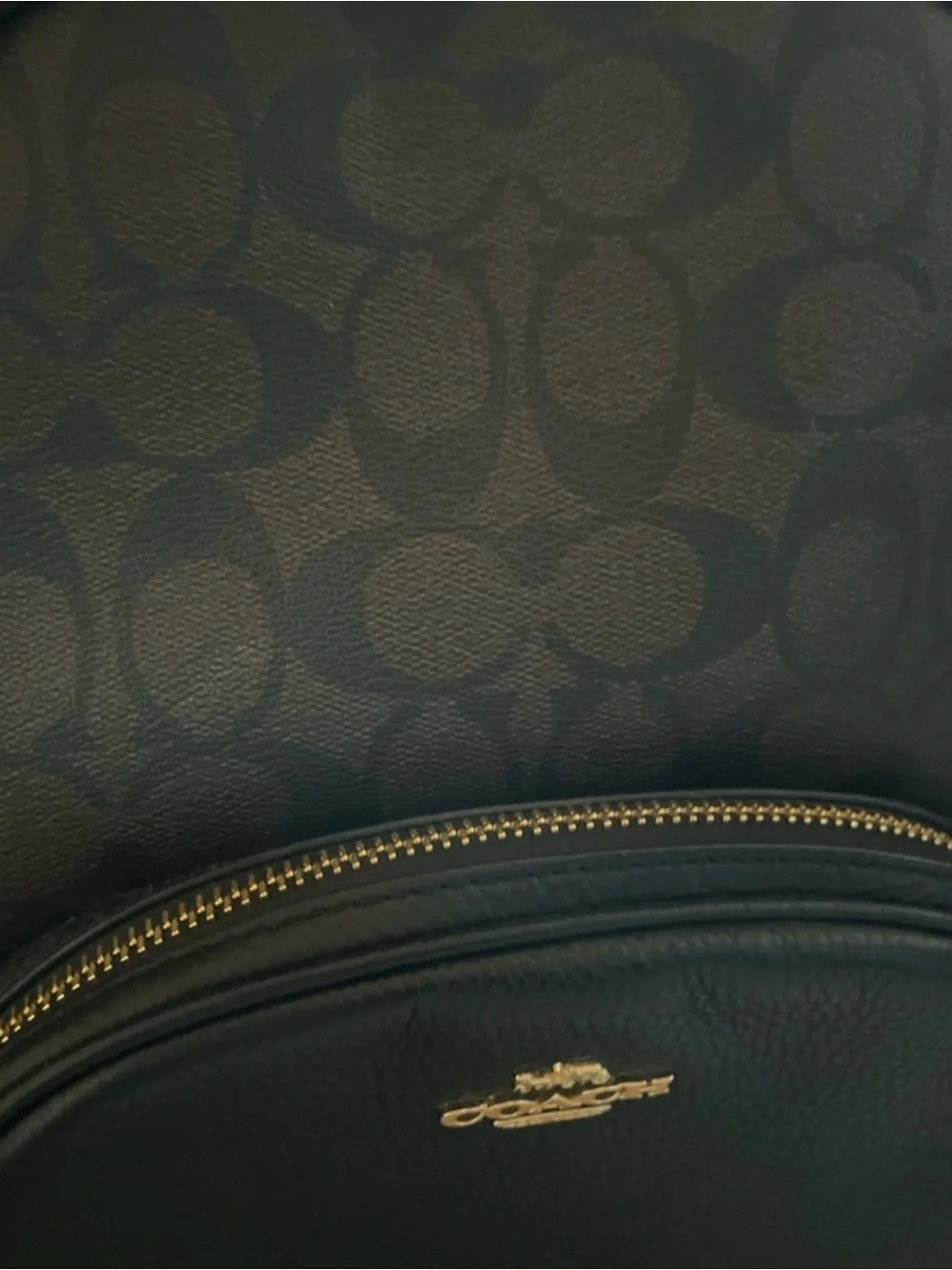 Coach compact pebbled