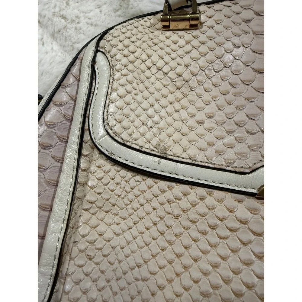 Coach keywords snakeskin