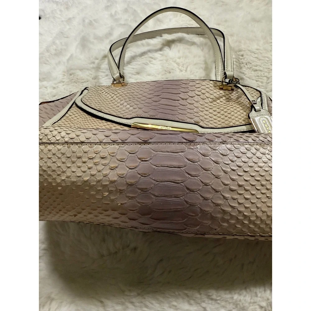 Coach keywords snakeskin
