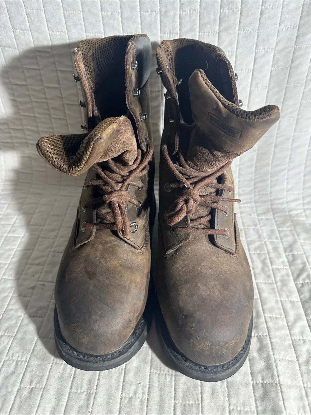 Wolverine durable brown