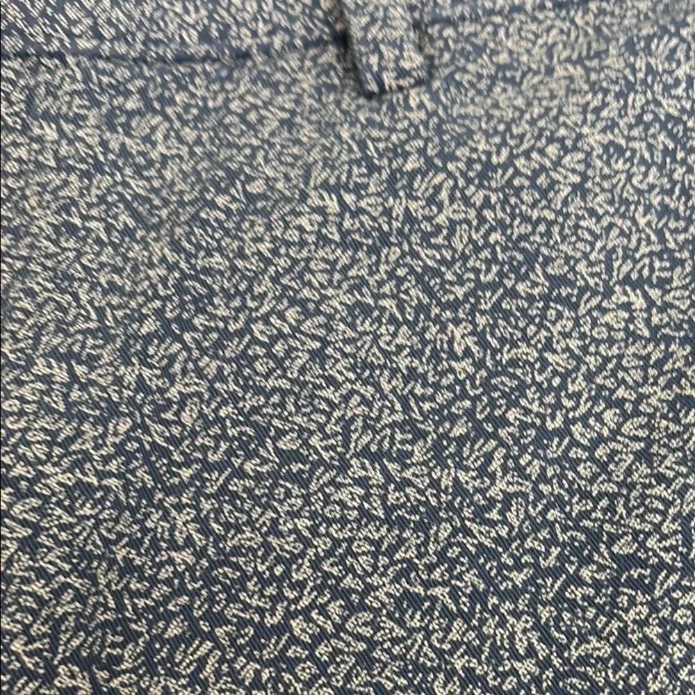 Banana Republic Blue/White Patterned Aiden  Shorts