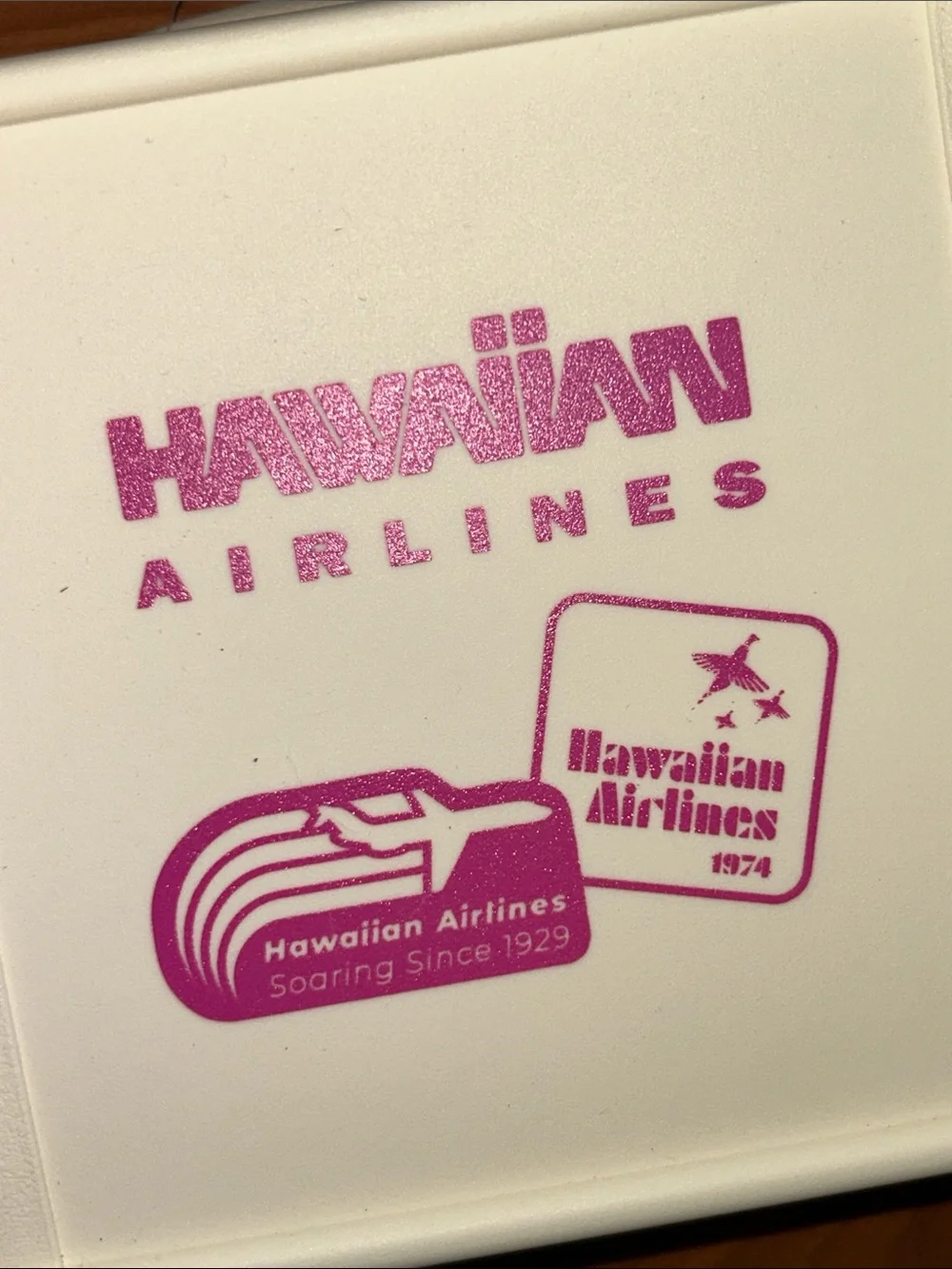 NWT Hawaiian Airlines x Plaza Japan Travel-Style Mini Storage Case