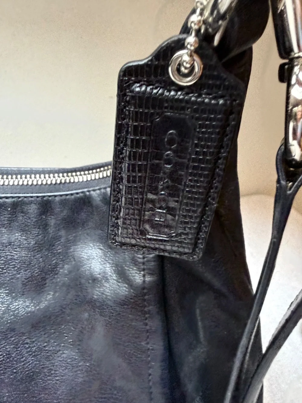 Coach clean bag