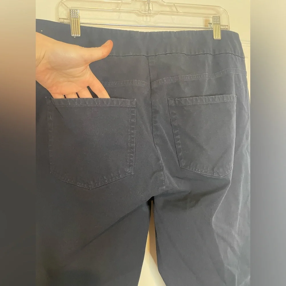 SOFT SURROUNDINGS PULL ON PANTS