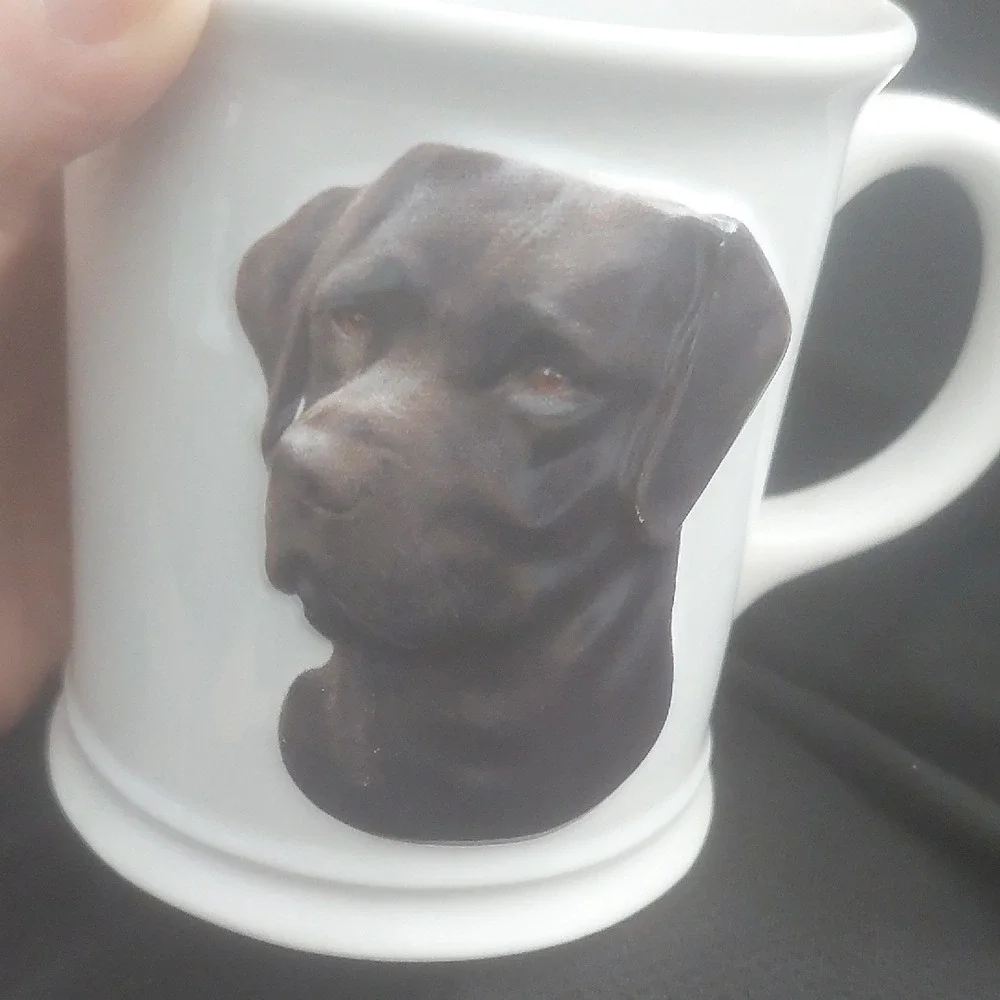 Chocolate‎ Lab Mug