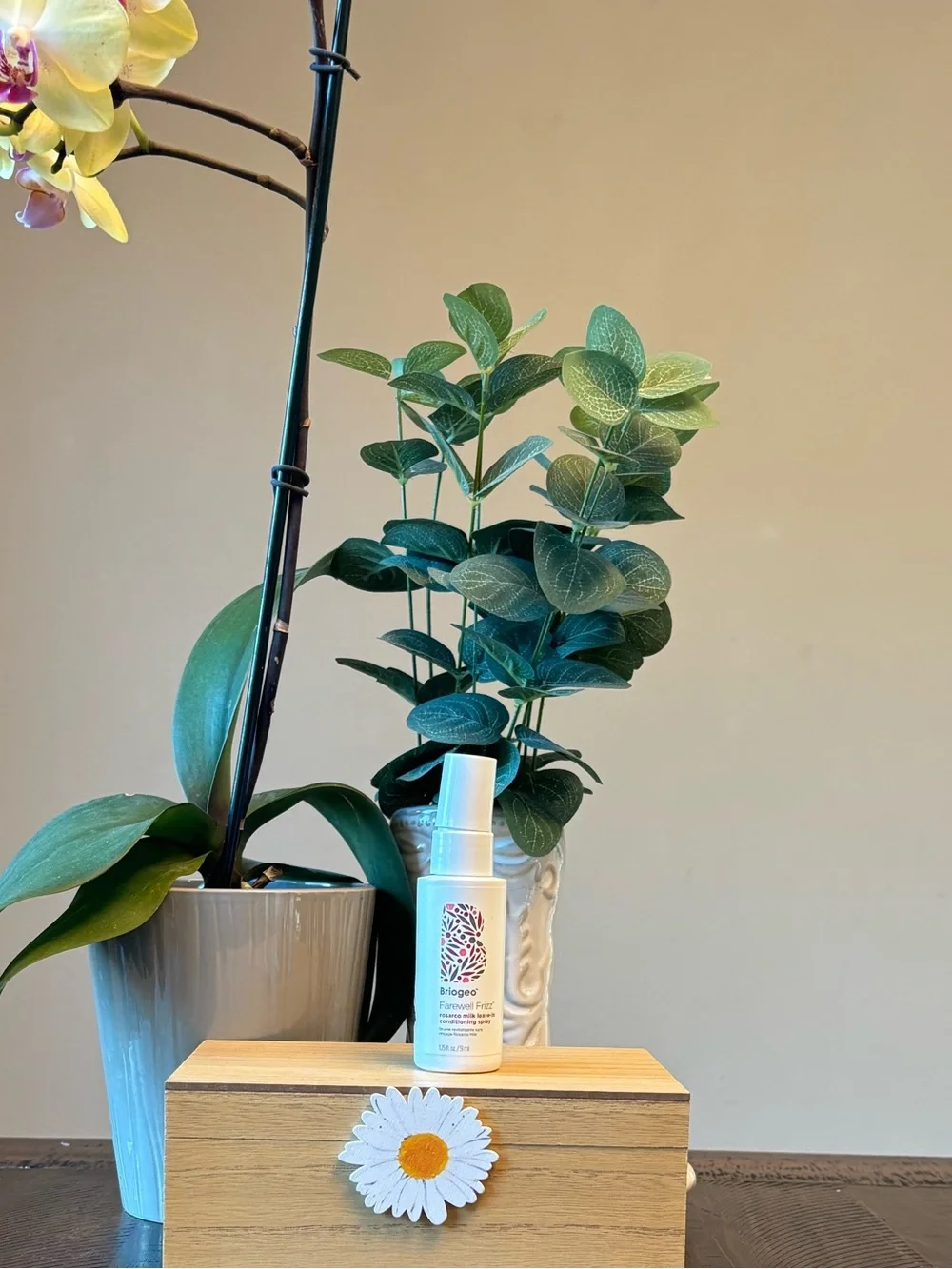 Briogeo lightweight leave