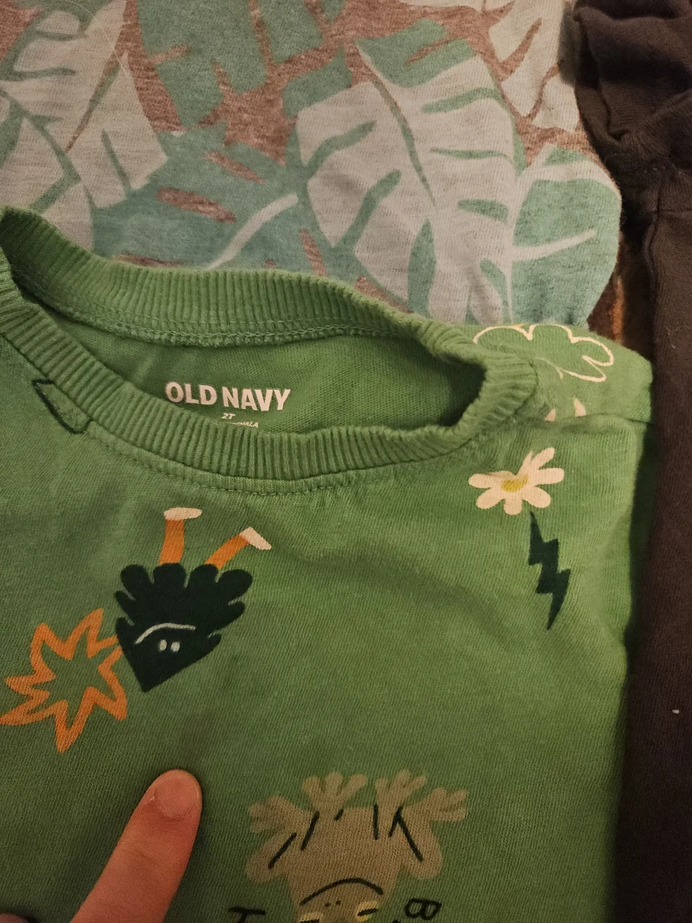 Set of 2T nature-themed shirts