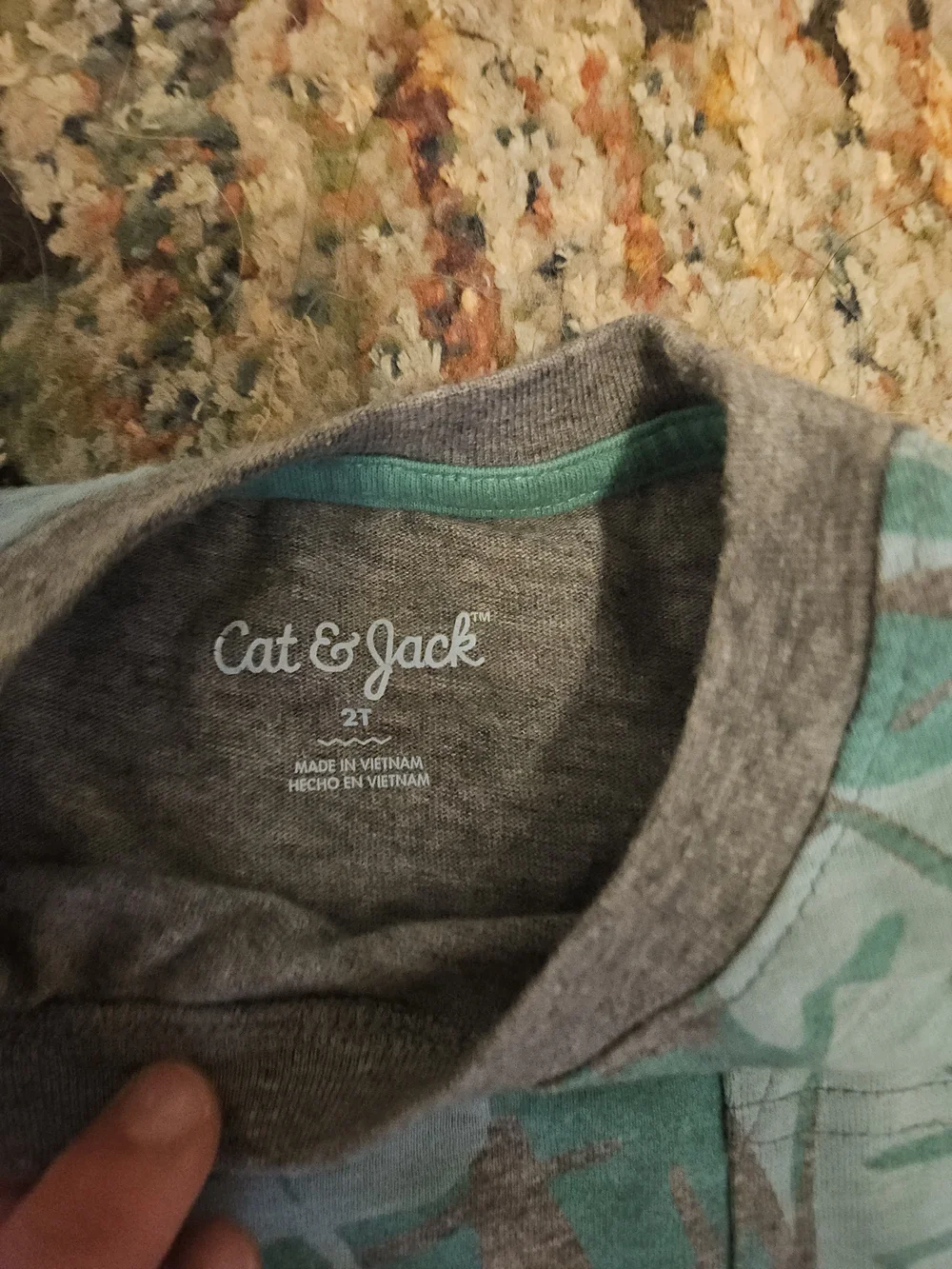 Set of 2T nature-themed shirts