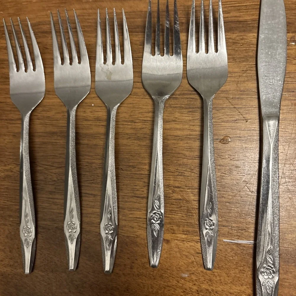 35 Pc. NASCO TEMPTATION Dinner Fork Spoon‎ Knife Stainless Korea Single Rose