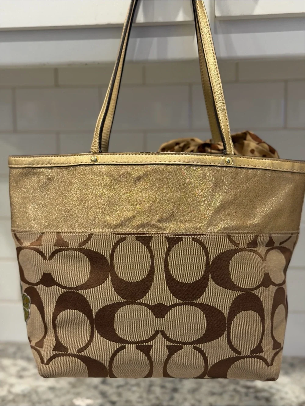 Coach signature canvas