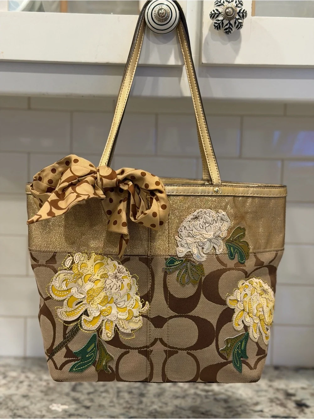 Coach signature canvas