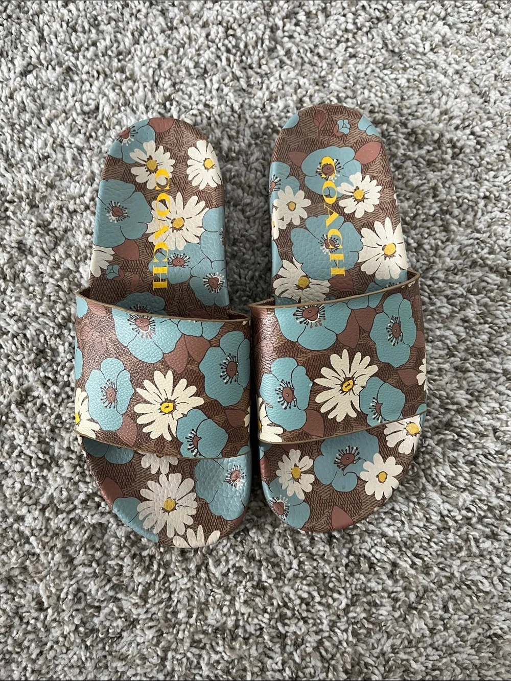 Coach Daisy Slides