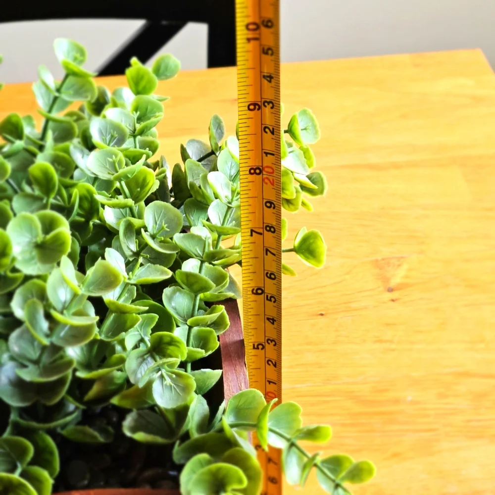 N/A faux eucalyptus