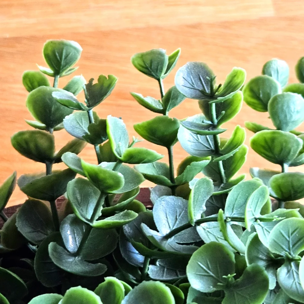 N/A faux eucalyptus