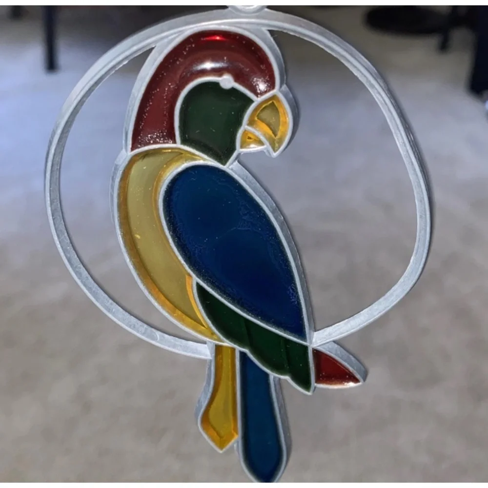 N/A parrot bird