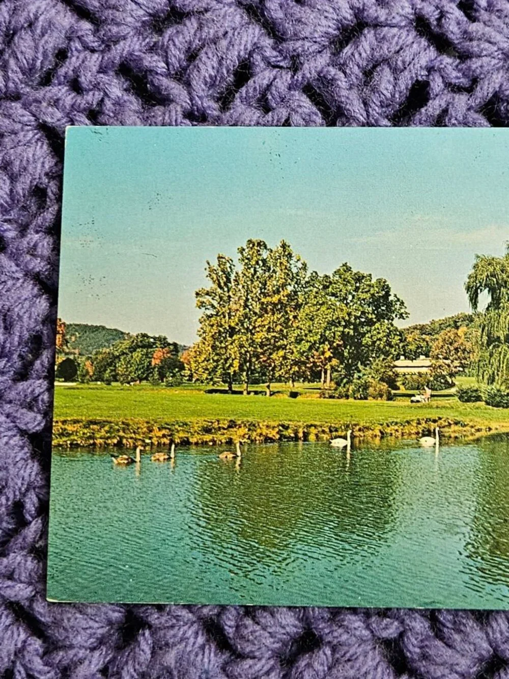 N/A greenbrier white