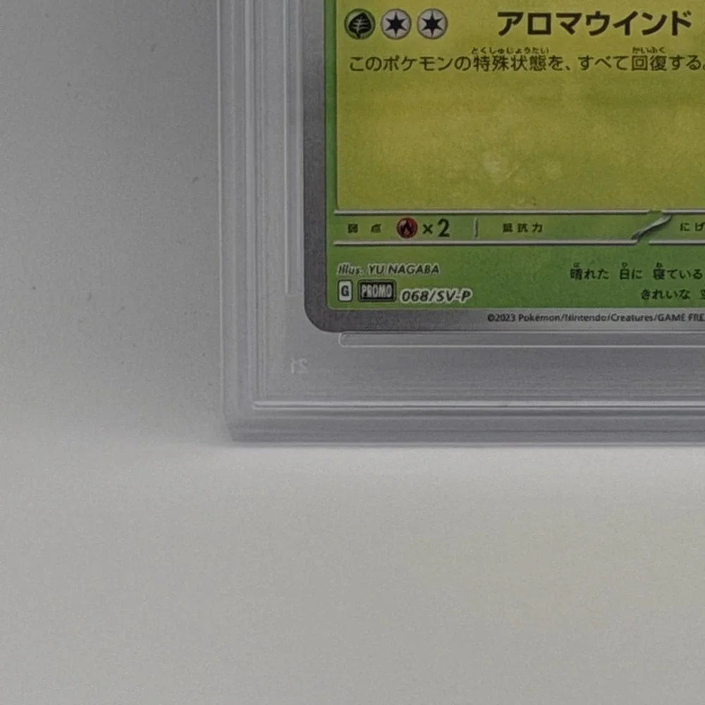 N/A 2023 pokemon